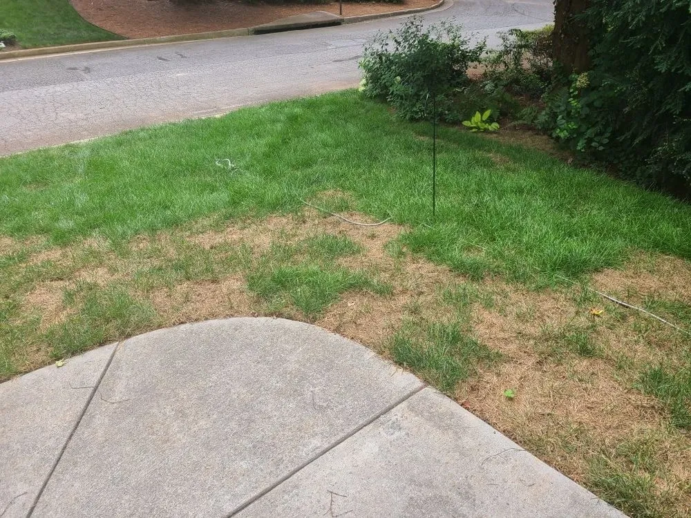 Local residential landscaping for outdoor upgrades in Clarkston, GA by Atlanta Sod Solutions