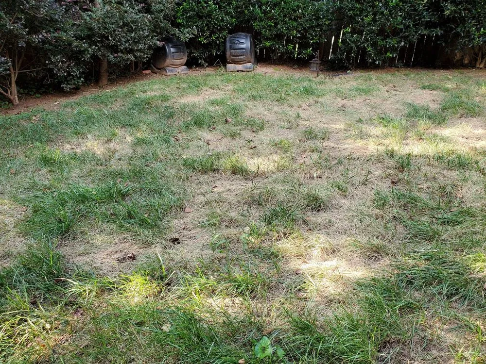 Local landscape design in Clarkston, GA by Atlanta Sod Solutions