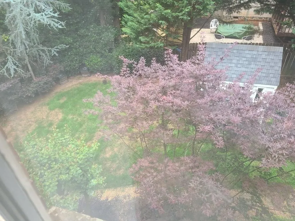 Reliable yard maintenance in Clarkston, GA by Atlanta Sod Solutions