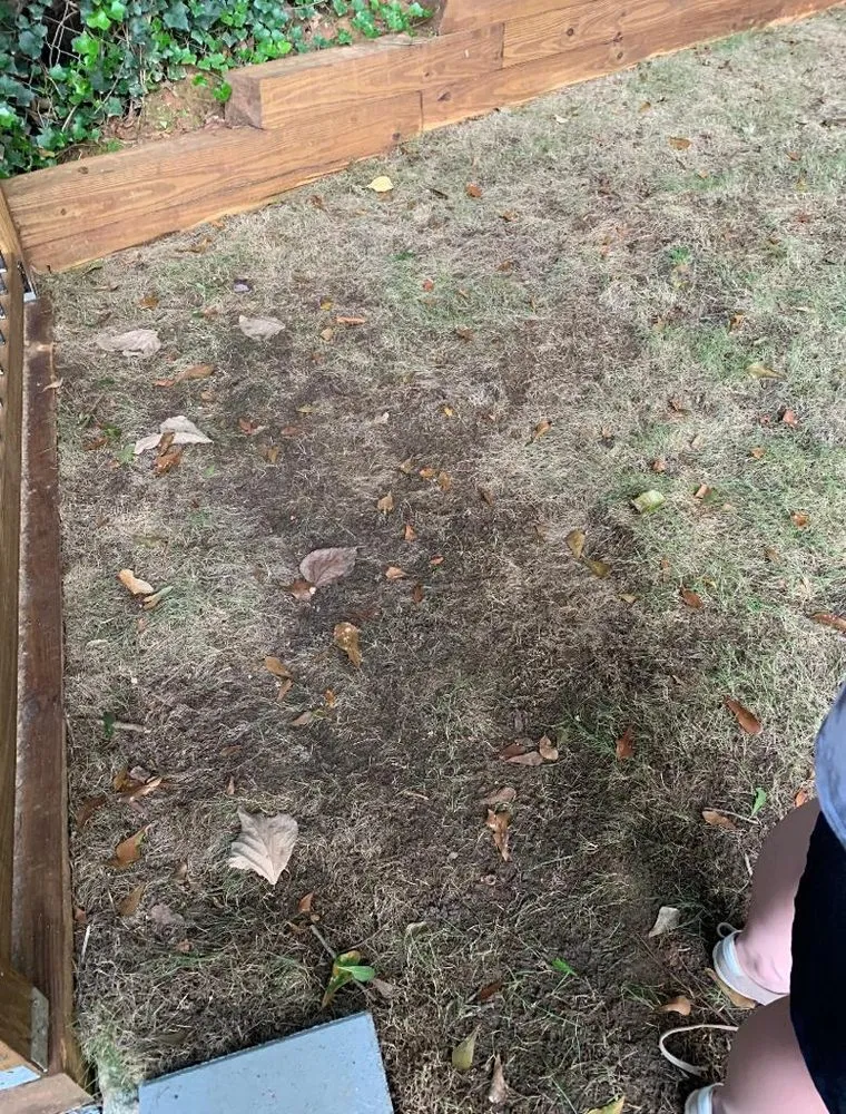 Professional yard cleanup service for residential properties in Clarkston, GA by Atlanta Sod Solutions