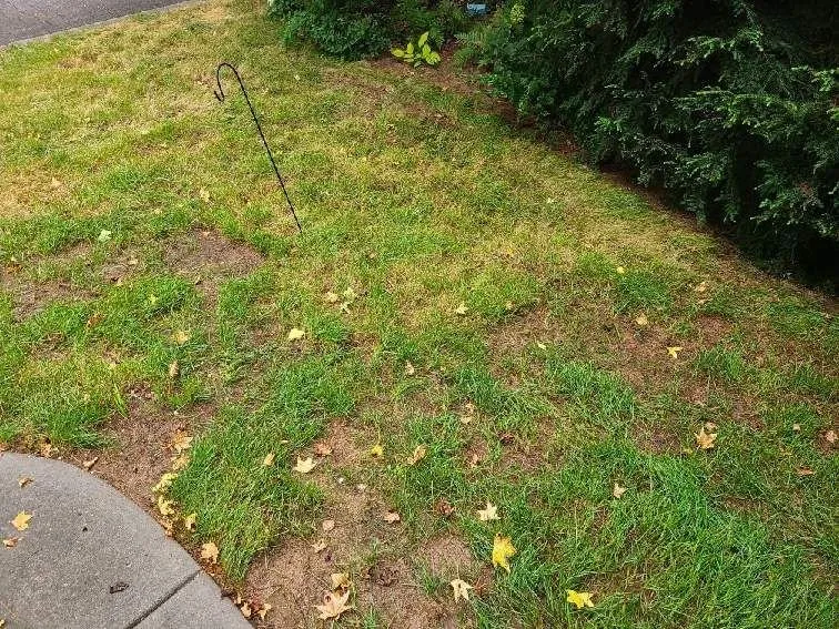 Professional lawn care service in Clarkston, GA - Atlanta Sod Solutions