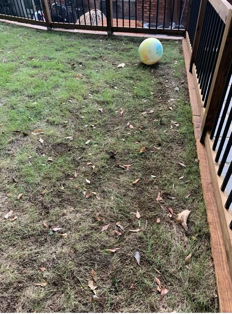 Top-rated yard maintenance for year-round maintenance in Clarkston, GA by Atlanta Sod Solutions