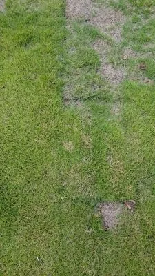 Atlanta Sod Solutions