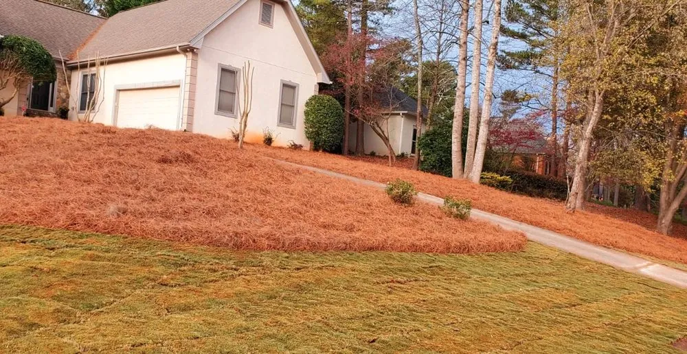 Reliable landscaping services for outdoor upgrades across Atlanta, GA - Atlanta Straw