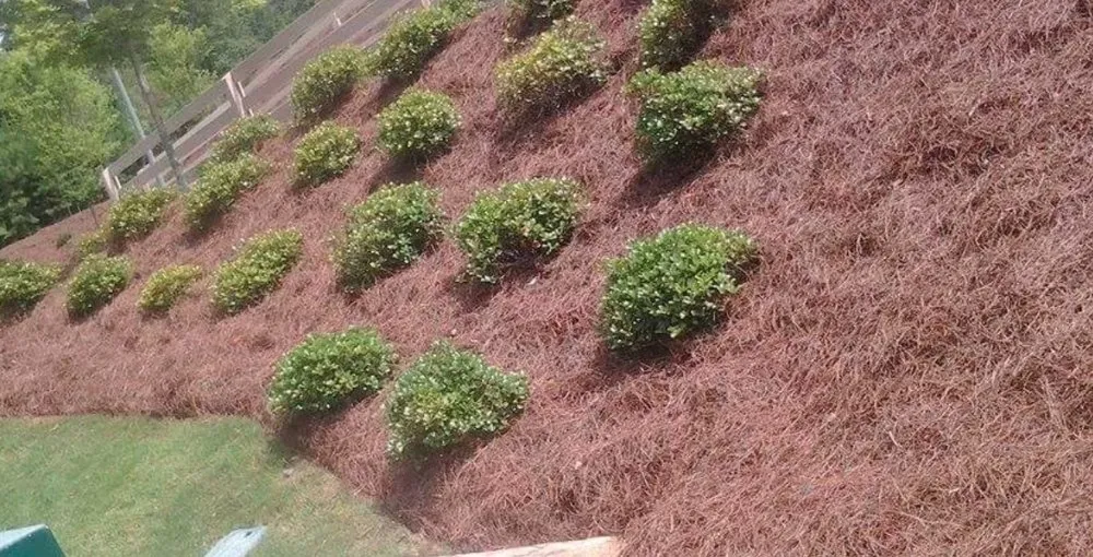 Top-rated outdoor landscaping in Atlanta, GA - Atlanta Straw