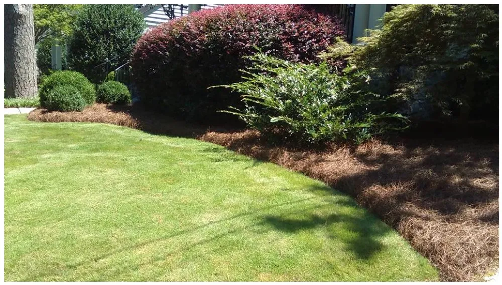 Custom lawn mowing service in Atlanta, GA by Atlanta Straw