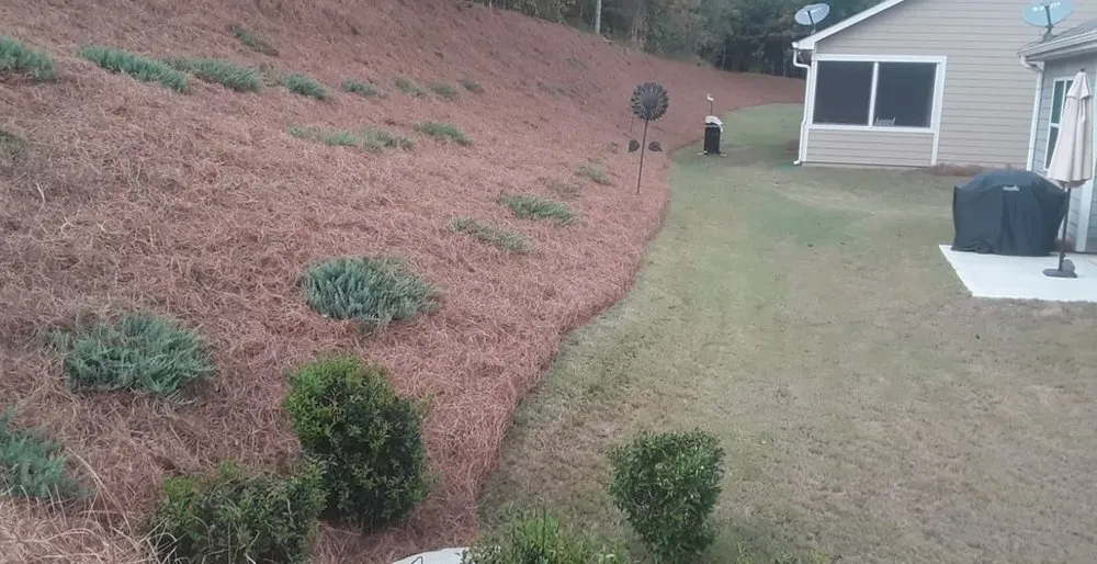 Local yard cleanup service in Atlanta, GA by Atlanta Straw