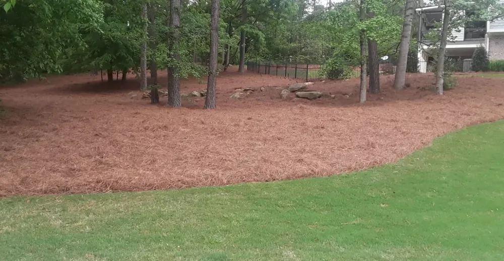 Reliable lawn mowing service in Atlanta, GA by Atlanta Straw