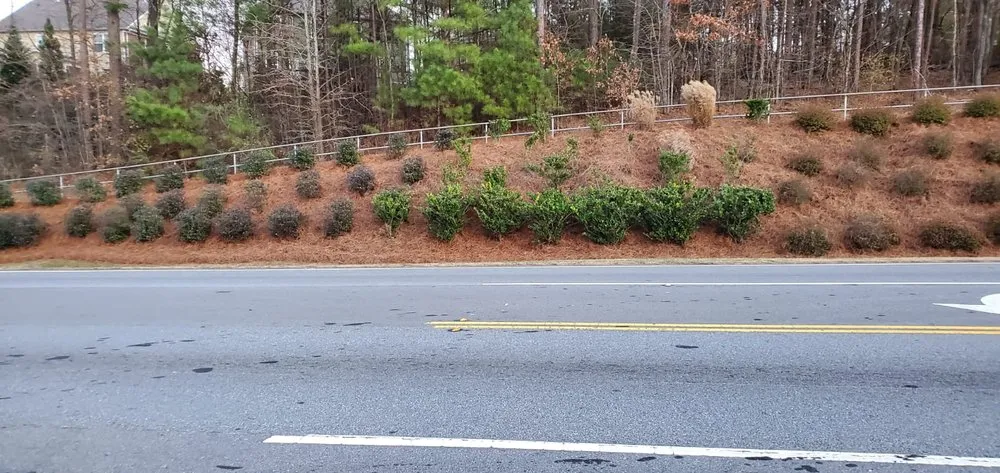 Expert residential landscaping in Atlanta, GA by Atlanta Straw