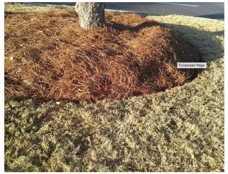 Reliable landscape design near you in Atlanta, GA by Atlanta Straw