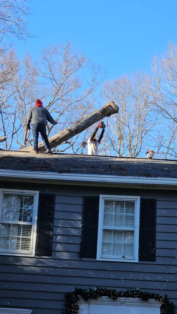 Expert yard cleanup service for residential properties in Norcross, GA by Atlanta Tree Movers