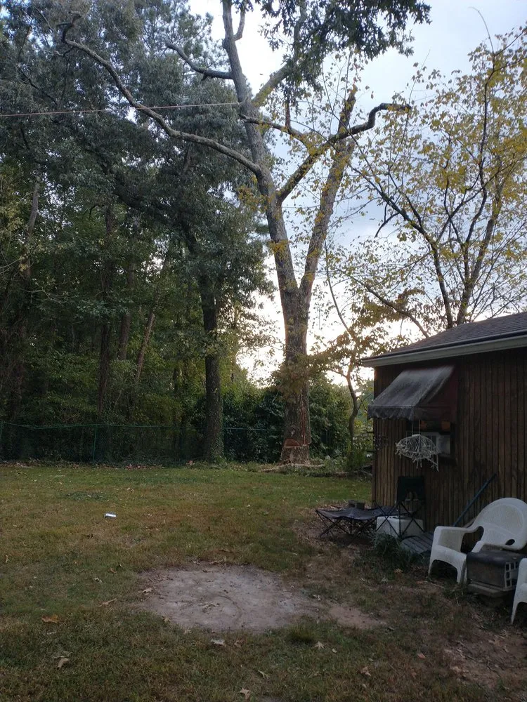 Top-rated lawn mowing service experts serving Norcross, GA - Atlanta Tree Movers