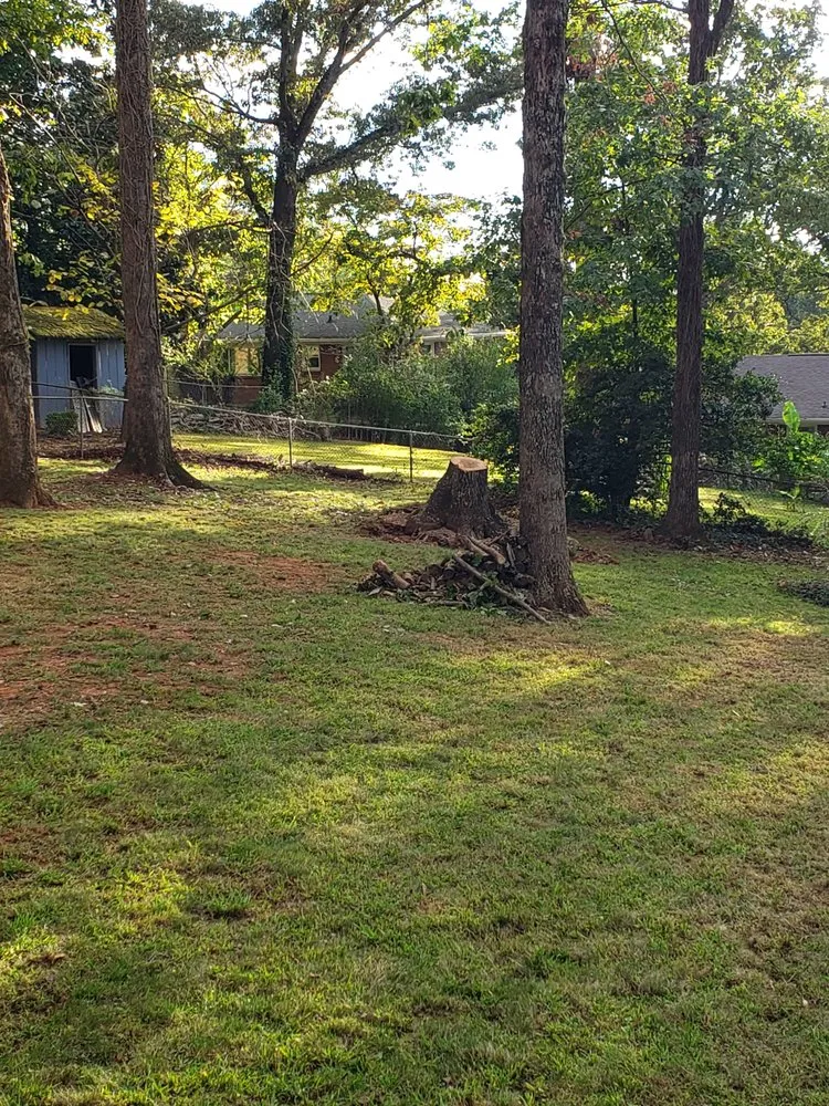 Reliable yard cleanup service for beautiful yards across Norcross, GA - Atlanta Tree Movers
