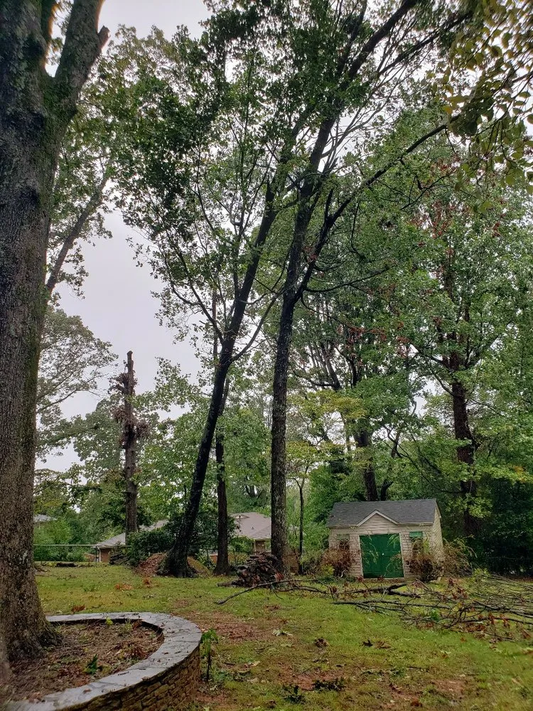 Local landscape installation for outdoor upgrades in Norcross, GA by Atlanta Tree Movers