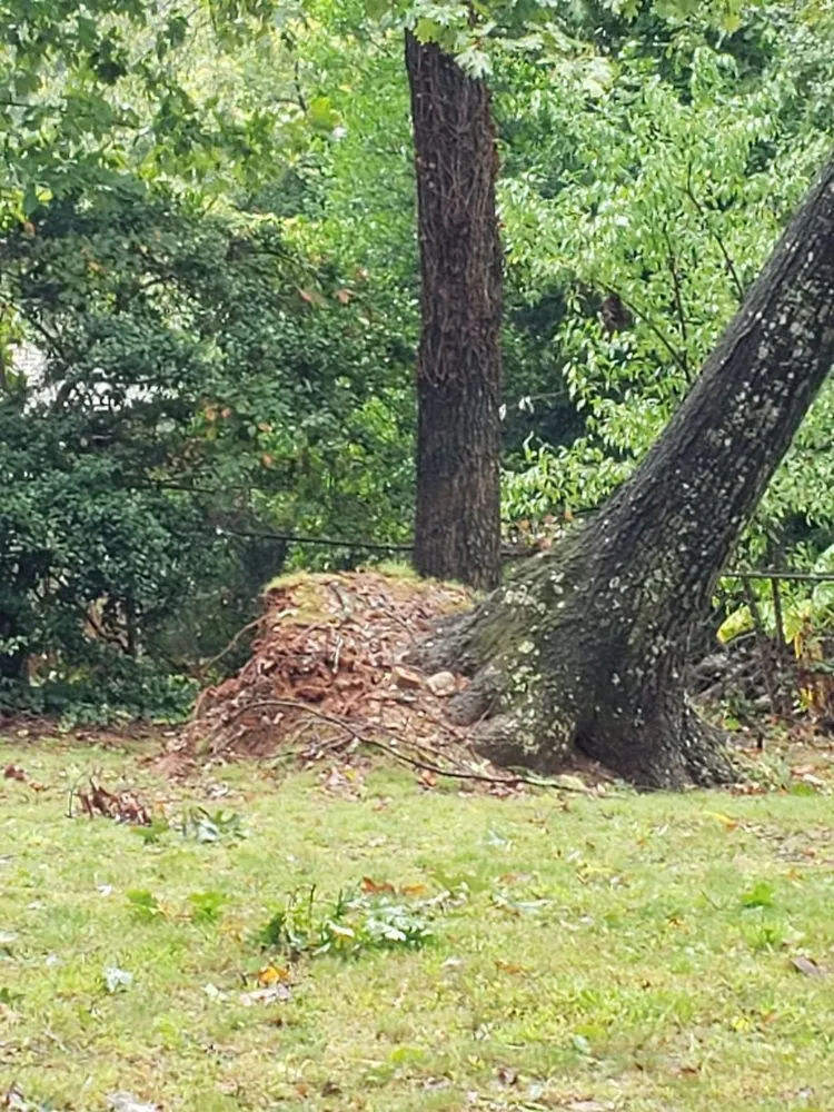 Reliable outdoor landscaping near you across Norcross, GA - Atlanta Tree Movers