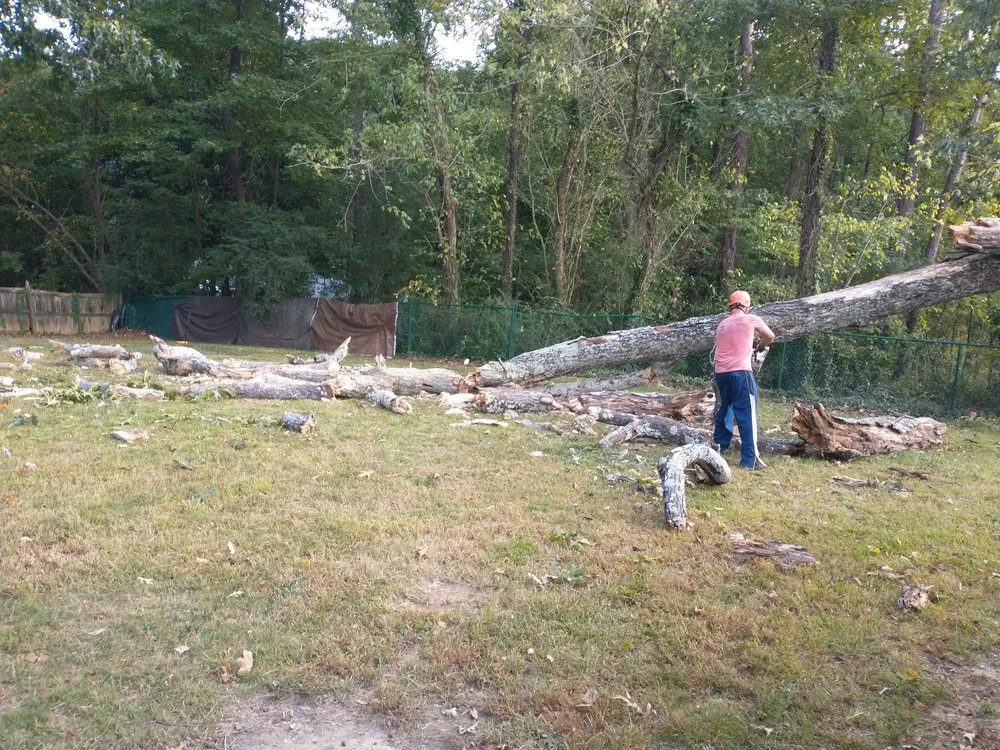 Professional residential landscaping for year-round maintenance across Norcross, GA - Atlanta Tree Movers