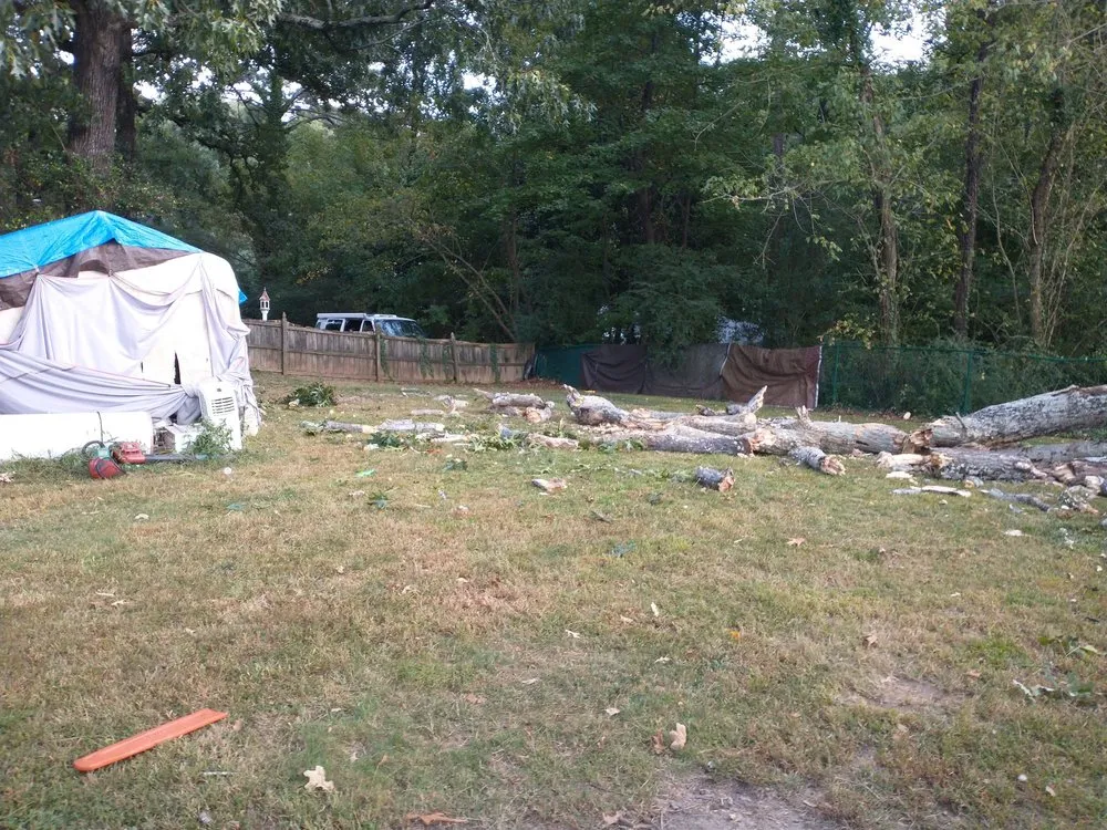 Trusted landscaping services in Norcross, GA - Atlanta Tree Movers