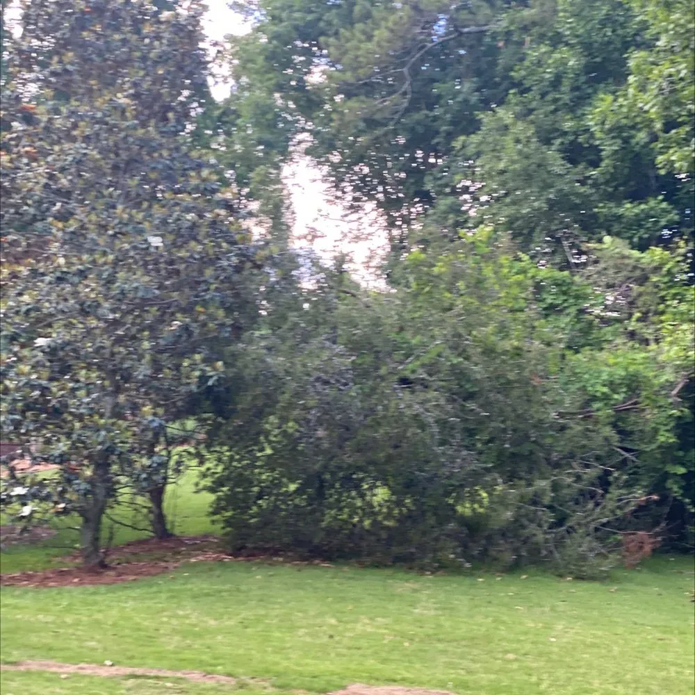 Top-rated landscape design experts serving Norcross, GA - Atlanta Tree Movers