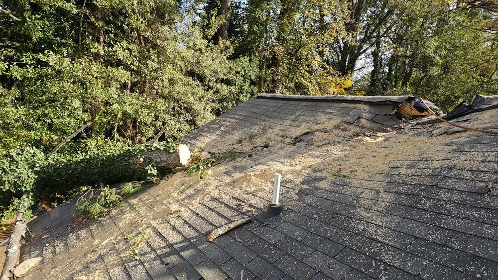 Expert yard maintenance experts serving Norcross, GA - Atlanta Tree Movers