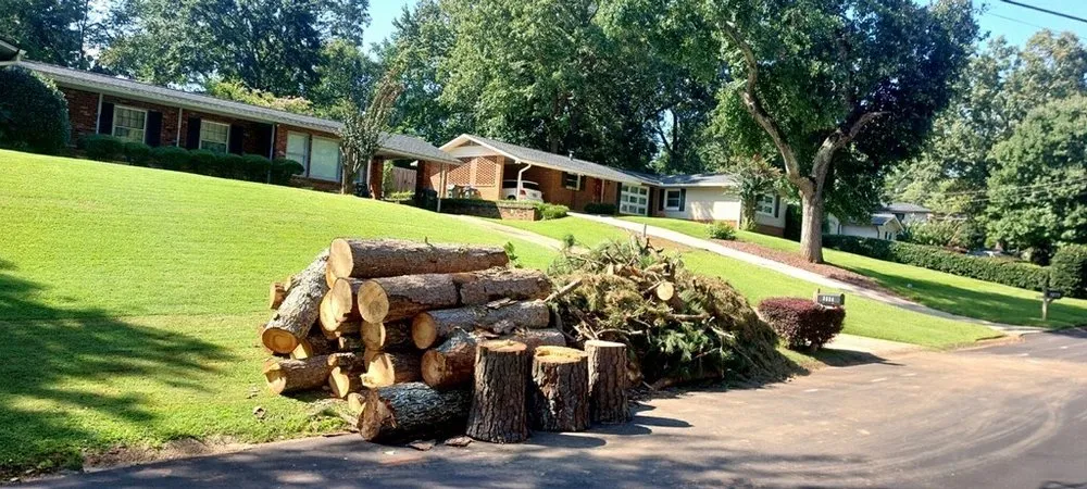 Affordable yard cleanup service in Norcross, GA - Atlanta Tree Movers