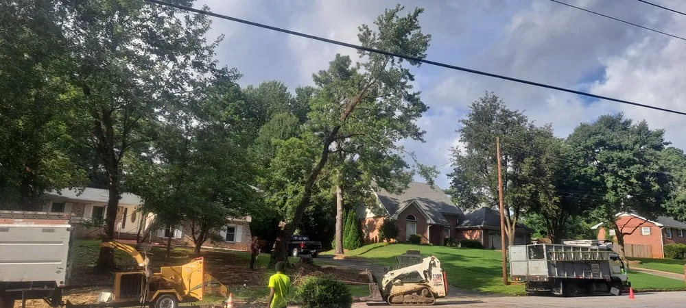 Professional residential landscaping experts serving Norcross, GA - Atlanta Tree Movers