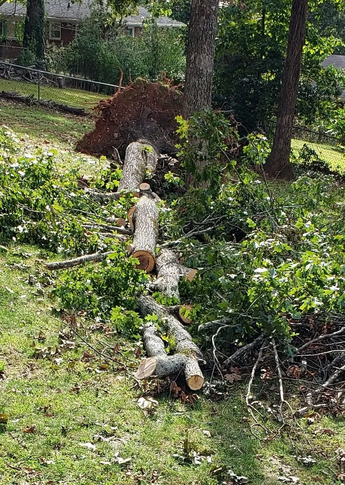 Reliable yard maintenance with custom design across Norcross, GA - Atlanta Tree Movers