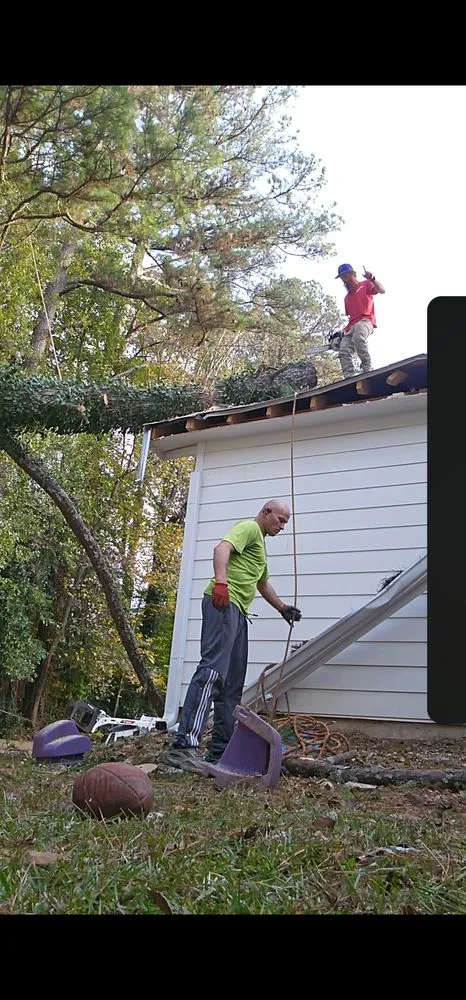 Affordable garden landscaping for residential properties across Norcross, GA - Atlanta Tree Movers