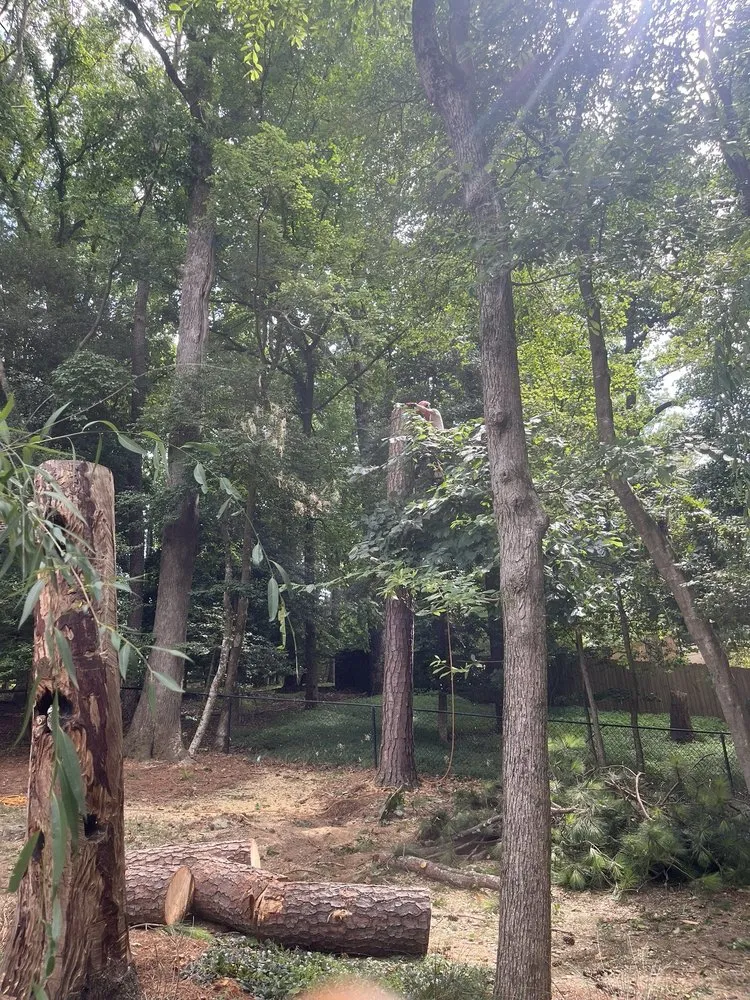 Professional garden landscaping for year-round maintenance across Norcross, GA - Atlanta Tree Movers