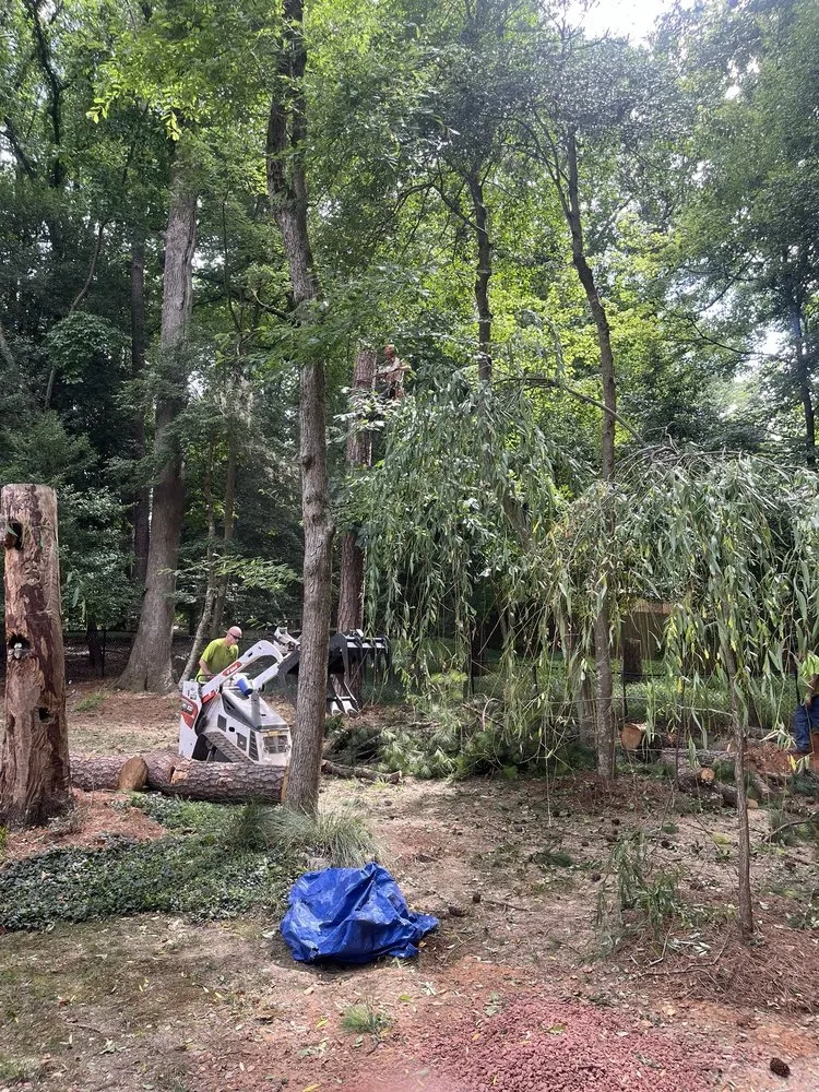 Affordable landscape design experts serving Norcross, GA - Atlanta Tree Movers