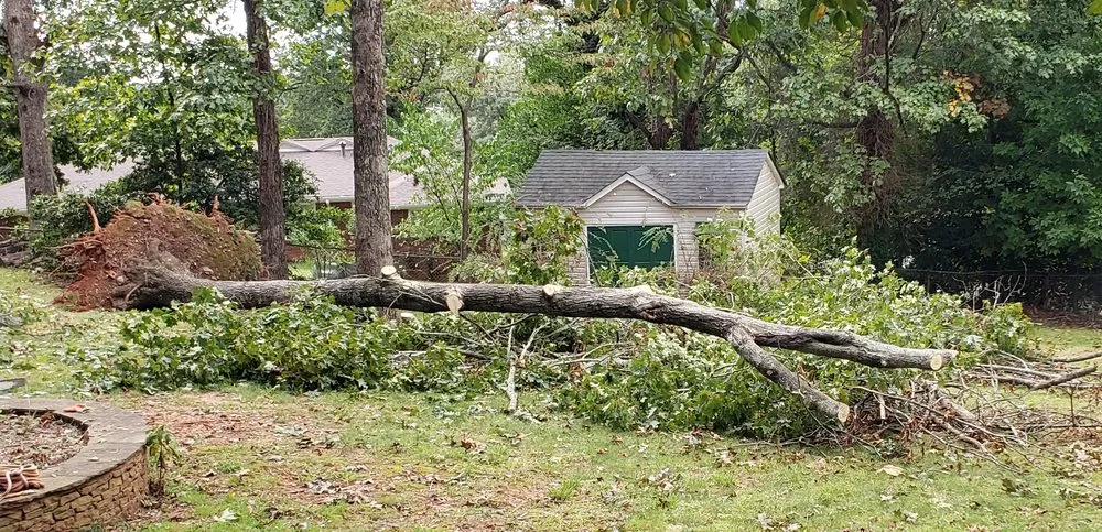 Local landscape design with custom design in Norcross, GA by Atlanta Tree Movers