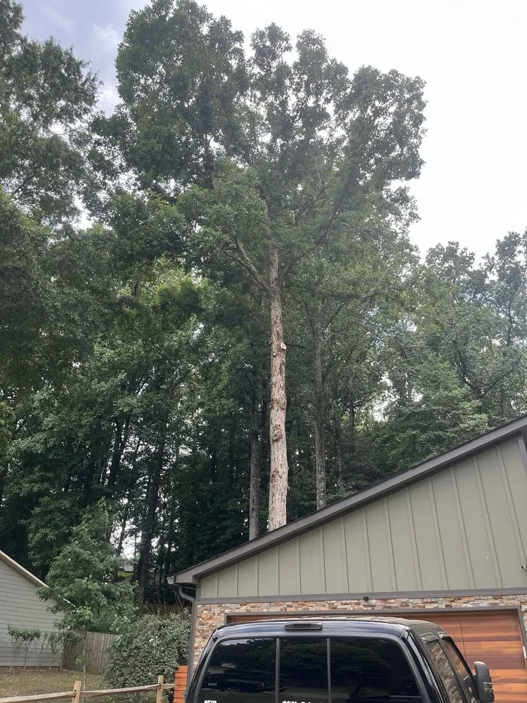 Expert lawn care service for year-round maintenance in Norcross, GA by Atlanta Tree Movers