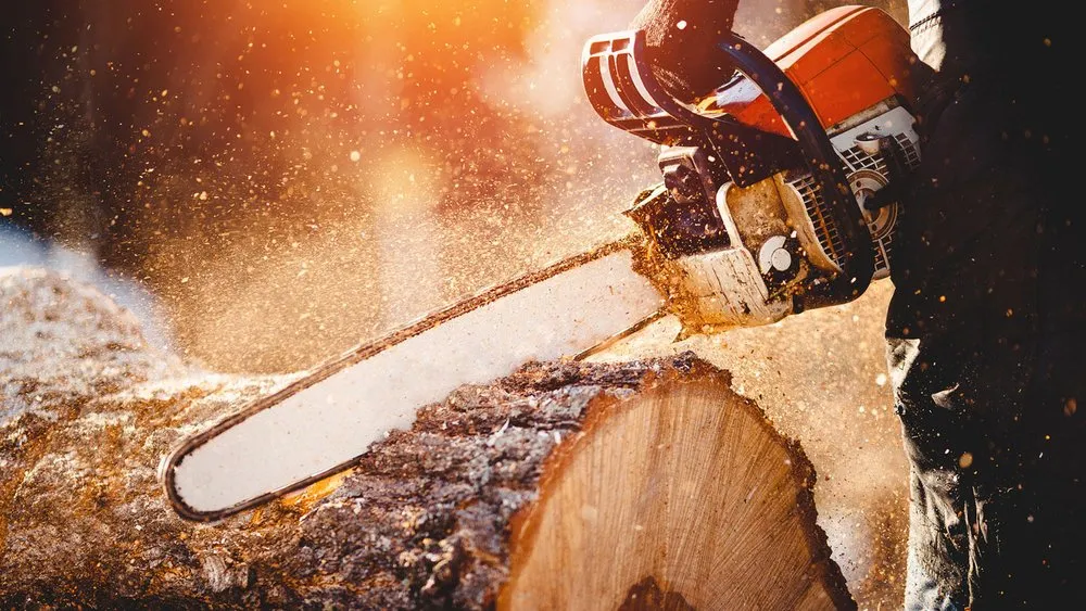 Professional landscaping services in Smyrna, GA by Atlanta's J & J Landscape & Tree Service