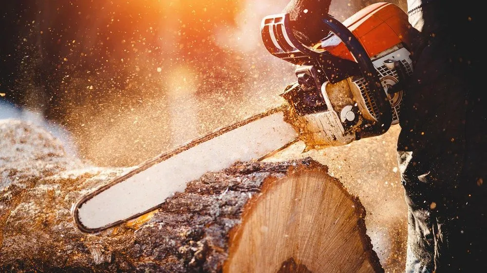 Affordable landscaping services in Smyrna, GA - Atlanta's J & J Landscape & Tree Service