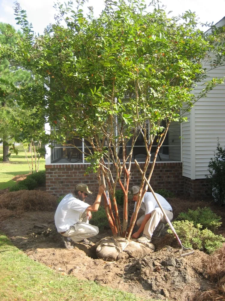 Expert outdoor landscaping experts serving New Bern, NC - Atlantic Coast Landscape Company