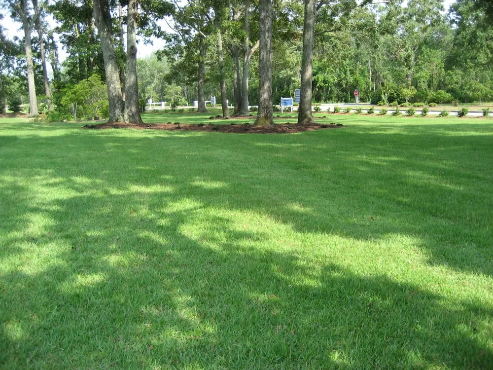 Custom outdoor landscaping in New Bern, NC - Atlantic Coast Landscape Company