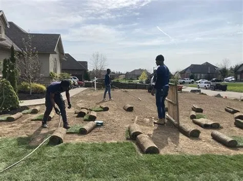 Reliable landscaping services for year-round maintenance in Wilmington, NC by Atlantic Coast Landscaping and Hydroseed