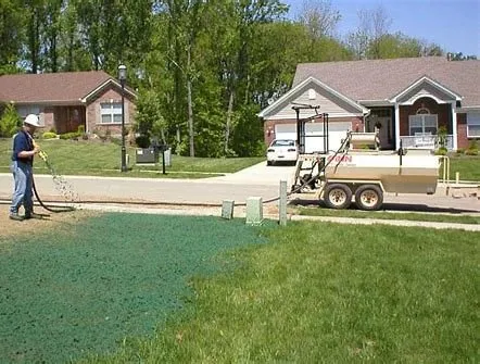 Atlantic Coast Landscaping and Hydroseed Logo