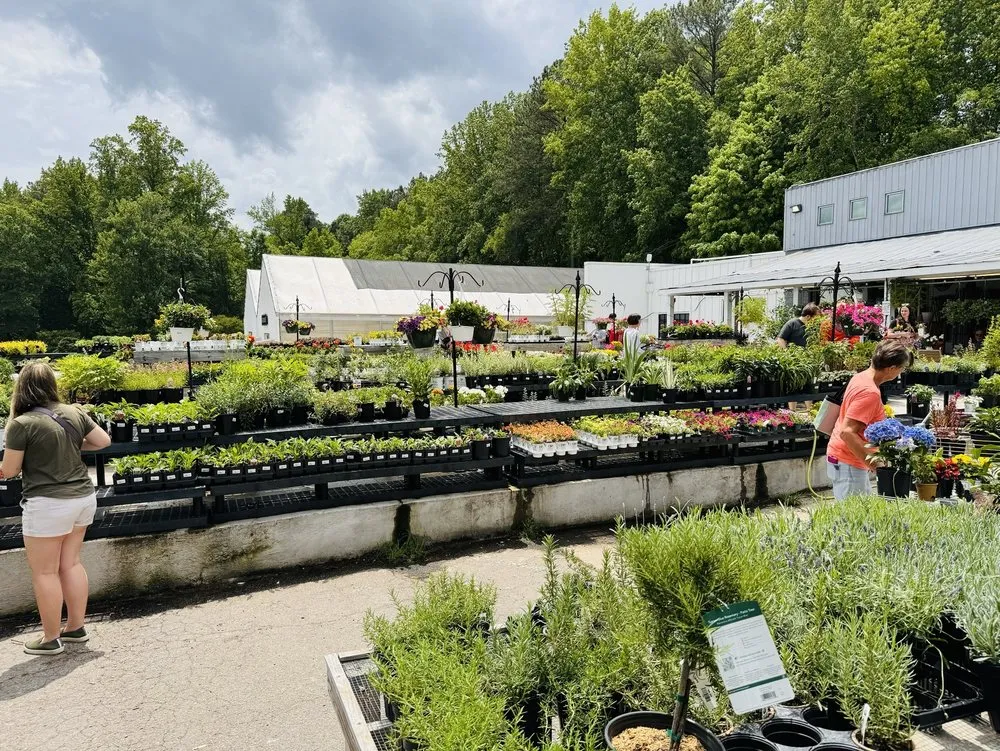 Top-rated landscaping services in Raleigh, NC - Atlantic Gardening Company