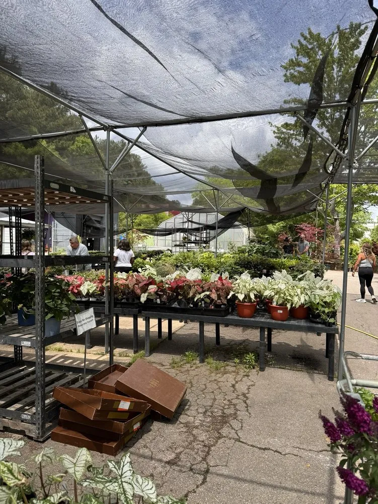 Professional landscaping services in Raleigh, NC - Atlantic Gardening Company