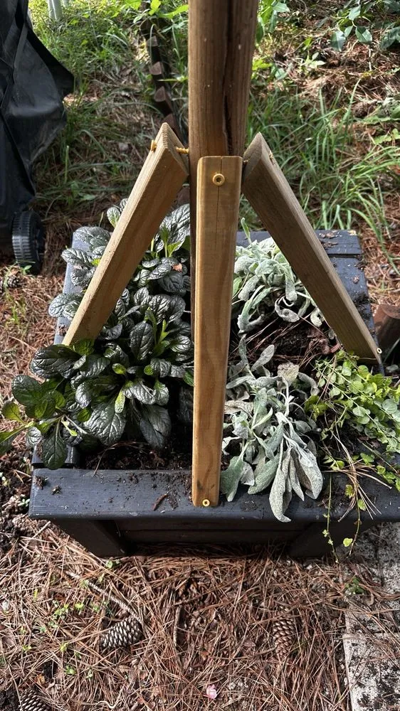 Reliable residential landscaping in Raleigh, NC - Atlantic Gardening Company