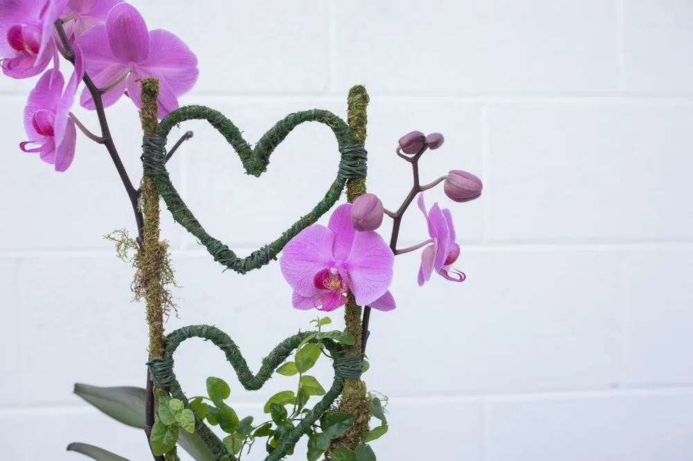 Custom lawn care service experts serving Raleigh, NC - Atlantic Gardening Company