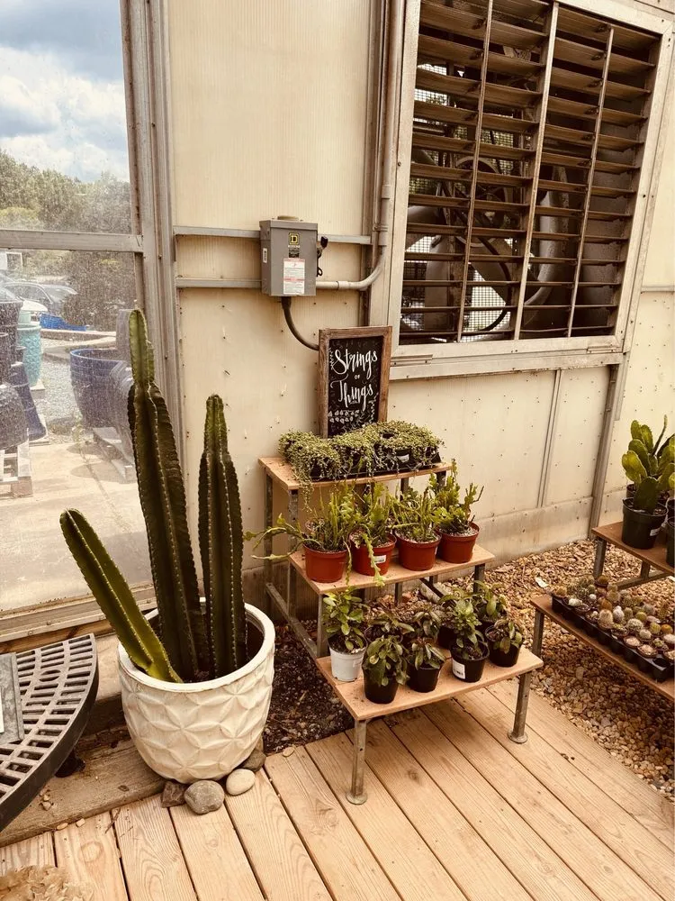 Local garden landscaping with custom design in Raleigh, NC by Atlantic Gardening Company