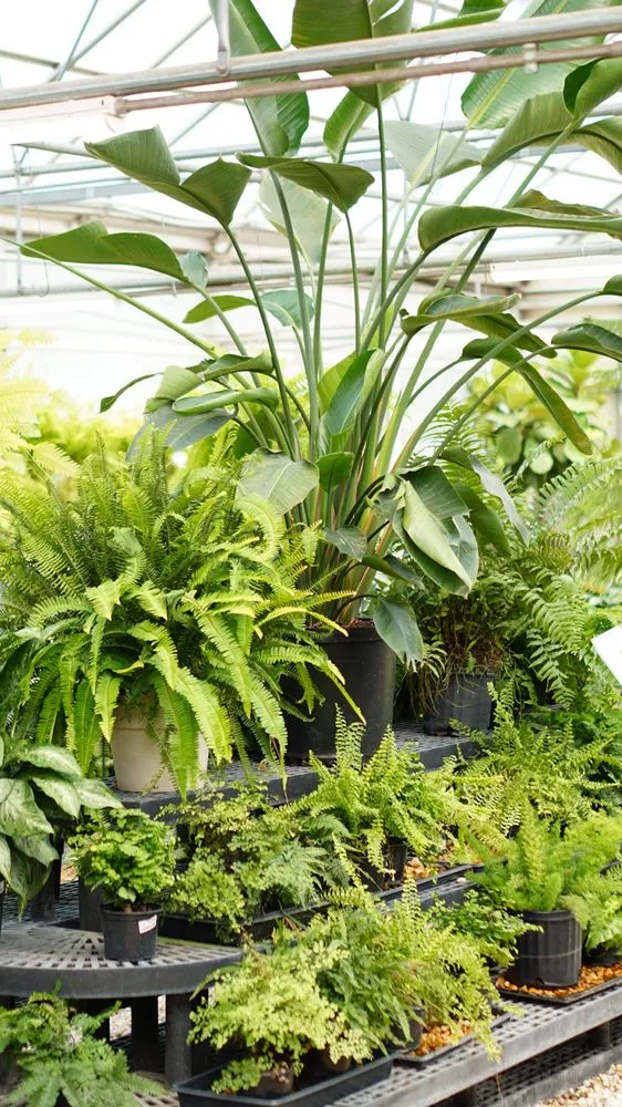 Top-rated landscape installation experts serving Raleigh, NC - Atlantic Gardening Company