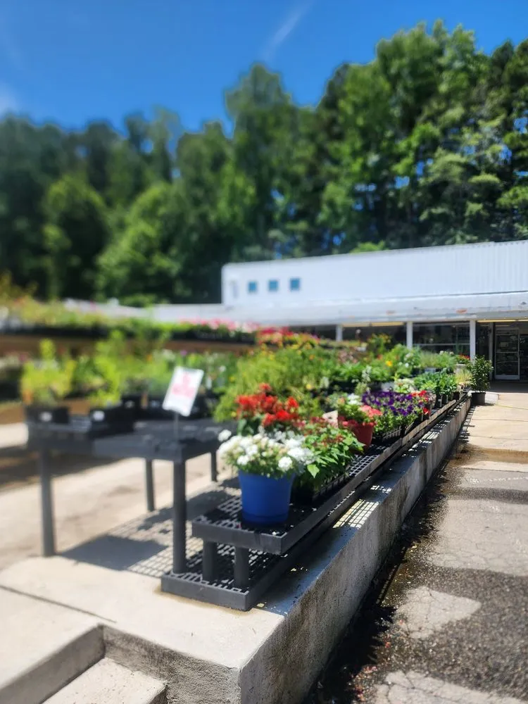 Local lawn mowing service for homes in Raleigh, NC by Atlantic Gardening Company