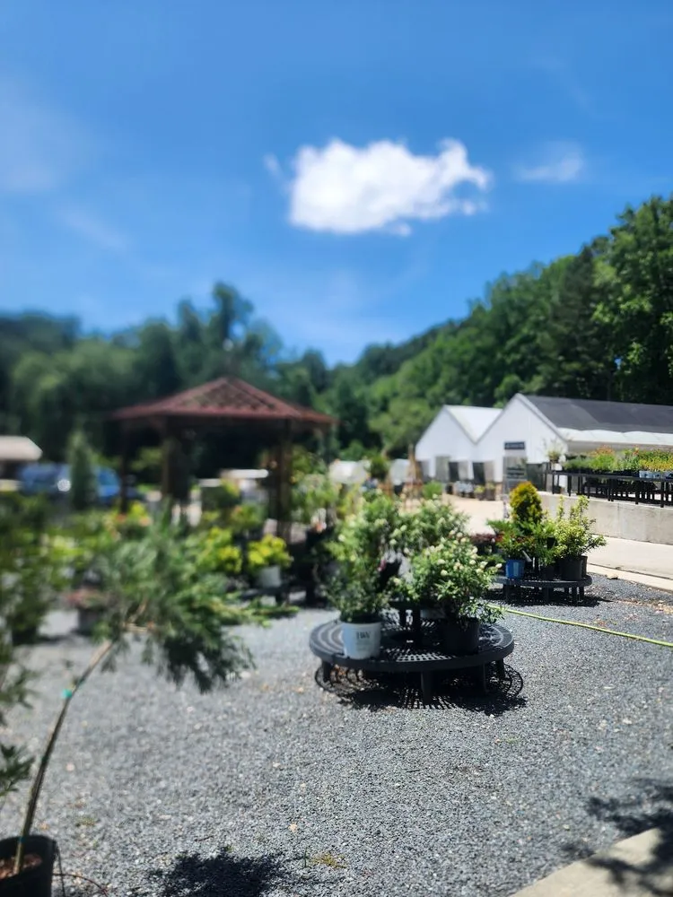 Custom landscape installation for homes across Raleigh, NC - Atlantic Gardening Company