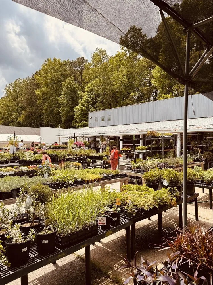 Local outdoor landscaping for homes across Raleigh, NC - Atlantic Gardening Company