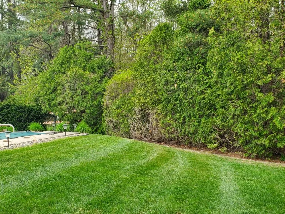 Expert residential landscaping in Toms River, NJ - Atlantic Home Services