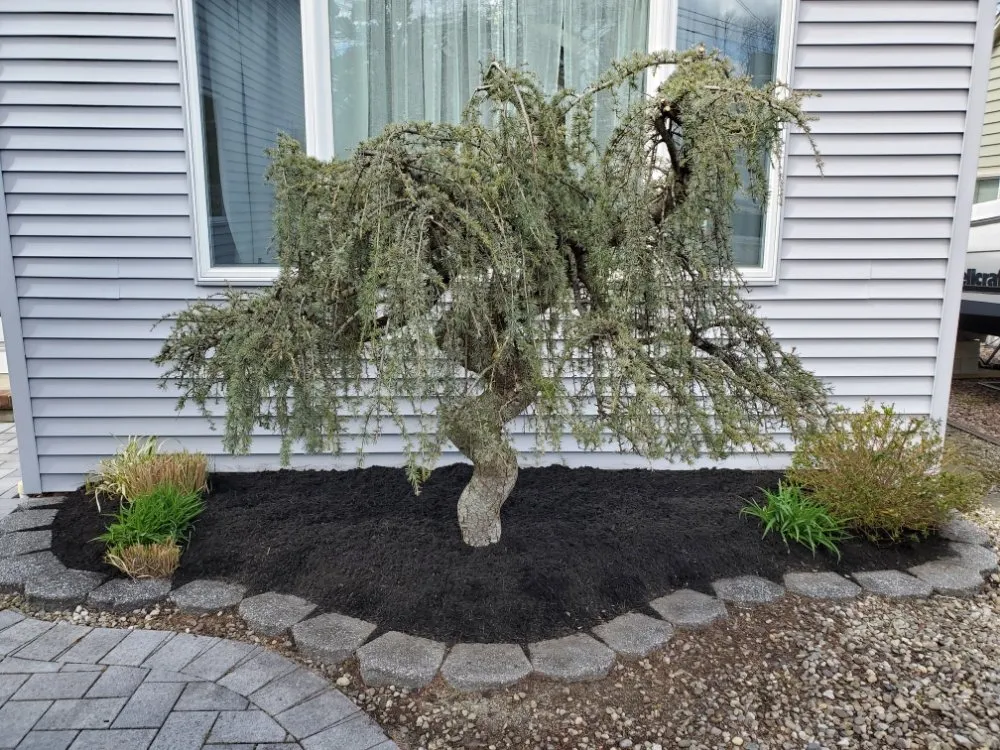 Top-rated landscape design in Toms River, NJ by Atlantic Home Services