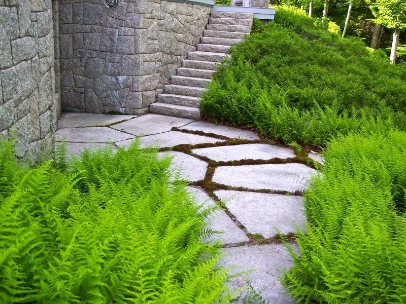 Custom lawn care service in Ellsworth, ME - Atlantic Landscape Construction