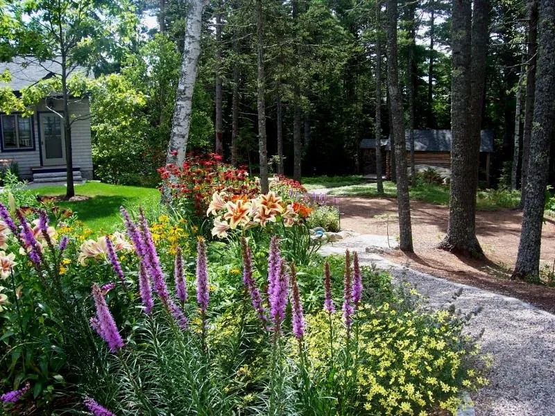Reliable lawn care service experts serving Ellsworth, ME - Atlantic Landscape Construction